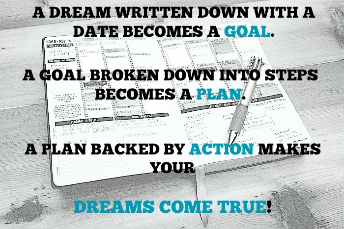 Goal Plan Action